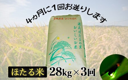 【定期便 年3回発送】ほたる米ひとめぼれ　精米８４kg（２８kg×３回）
