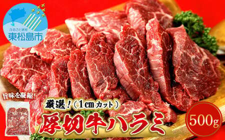 ハラミ 厚切り 味付き 牛ハラミ 500g 冷凍 牛肉 味付 焼肉 バーベキュー ＢＢＱ 宮城県 東松島