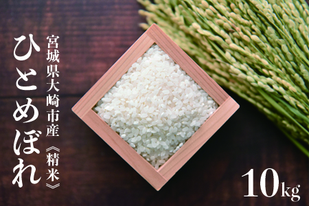 (08010)《精米》宮城県大崎市産 特別栽培米 ひとめぼれ10kg【2023年産】