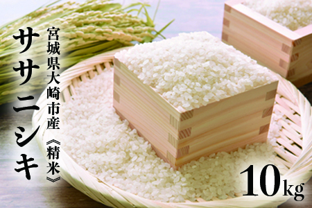 (08011)《精米》宮城県大崎市産 特別栽培米 ササニシキ10kg【2023年産】