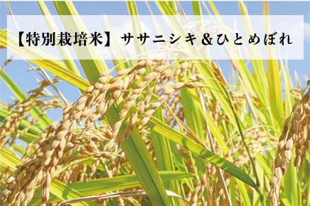 【特別栽培米】ササニシキ＆ひとめぼれセット(令和3年産)