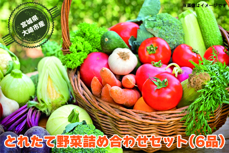 (09701)【宮城県産】とれたて野菜 詰め合わせセット(6品)