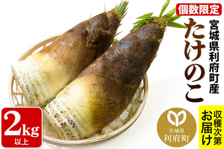 宮城県利府町産 採れたて たけのこ 皮付き2kg以上（2～6本）筍 タケノコ 野菜 国産 新鮮 旬