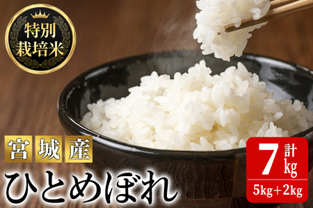 ＜令和5年産＞ 特別栽培米 ひとめぼれ 7kg ta219【JA新みやぎ】