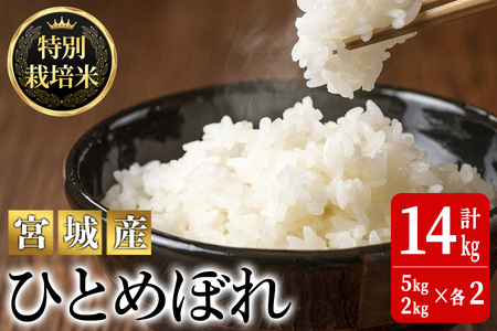 ＜令和5年産＞ 特別栽培米 ひとめぼれ 14kg ta221【JA新みやぎ】