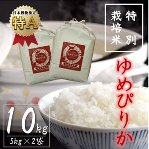 【特別栽培米】北海道深川産米ゆめぴりか(精米)10kg(5kg×2袋)【1440297】