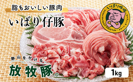 シェフもおすすめ「日本で一番おいしい豚肉！」★いばり仔豚★4種の部位＜ロース・バラ・もも・カタスライス各250g＞詰め合わせ♪フレッシュ豚肉1kgコースエル・コルティッホ・ソーナイ(小分け 個包装 豚肉  豚 食べ比べ 冷蔵)
