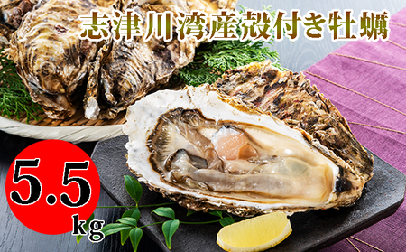 南三陸志津川産の殻付き牡蠣5.5kg（1kgあたり6～9個）