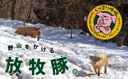 【定期便 3か月連続】シェフもおすすめ「日本で一番おいしい豚肉！」★いばり仔豚★4種の部位＜ロース・バラ・もも・カタスライス各250g＞詰め合わせ♪フレッシュ豚肉1kgコース