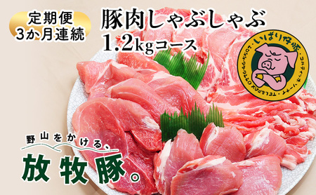 【定期便 3か月連続】シェフもおすすめ「日本で一番おいしい豚肉！」★いばり仔豚★4種の部位・各300g＜ロース・バラ・もも・カタ＞詰め合わせ♪フレッシュ豚肉しゃぶしゃぶ1.2kgコース