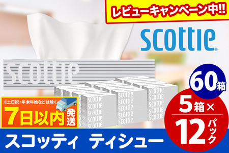 スコッティ ティッシュペーパー 200組 60箱(5箱×12パック) ティッシュ