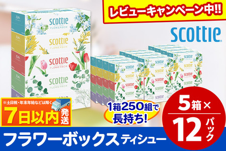 スコッティ ティッシュペーパー フラワーボックス250組 60箱(5箱×12パック) ティッシュ