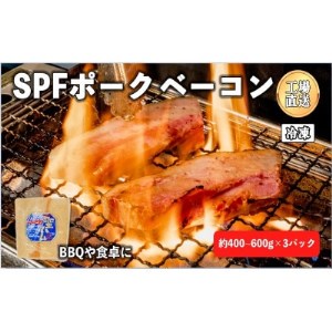 秋田県産　SPF豚ベーコン　400～600g×3パック【1318656】