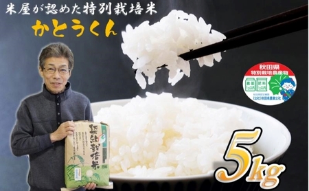 【白米】特別栽培米 秋田県産 あきたこまち ”かとうくん” 5kg 米屋が認めたお米 令和5年産