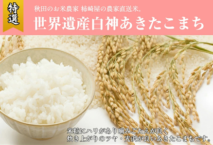 【白米】秋田県産 あきたこまち 30kg（10kg×3袋）お米専門農家だからできる こだわりの産地直送米 令和5年産
