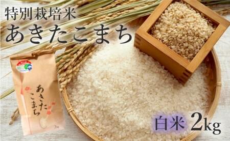 【白米】特別栽培米 あきたこまち 2kg 秋田県産 令和5年産