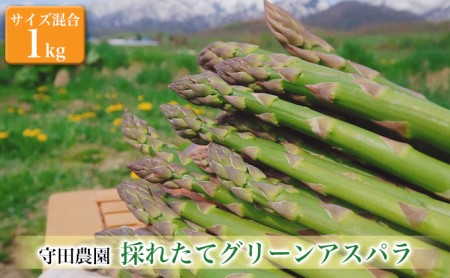 北海道ふらの【守田農園】グリーンアスパラガス約1kg（サイズ混合）