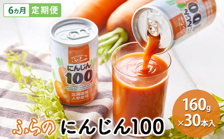 【 6ヵ月 定期便 】ふらの にんじん100 160g×30本入　野菜  ジュース