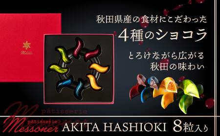 50P5605　AKITA HASHIOKI