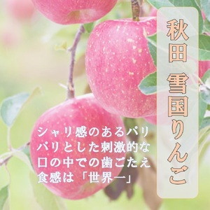 秋田県産 りんご ふじ 5kg 最高の甘味と香り 産地直送[B4-9902]