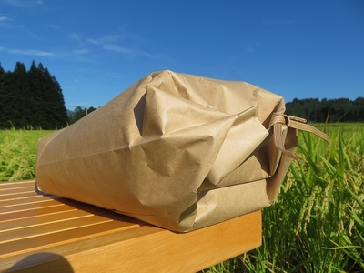 【令和5年産米】自然栽培ササニシキ　玄米5kg「無農薬」・「無肥料」[B7-13501]
