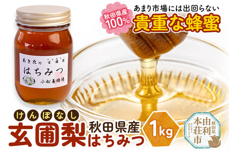 小松養蜂場 はちみつ 秋田県産 100% 玄圃梨蜂蜜 1kg