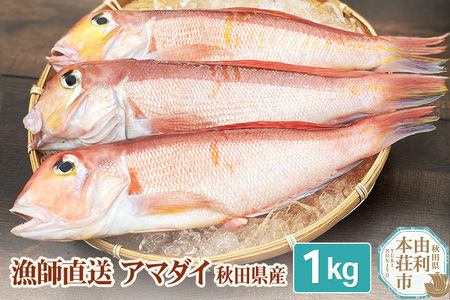漁師直送 甘鯛 (あまだい)  秋田県産 1kg (配送期間 5月〜10月末予定、期間外は次期予約扱い)