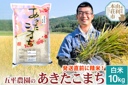 【白米】 あきたこまち 令和5年産 秋田県産 五平農園のあきたこまち 10kg