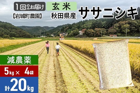 【玄米】〈減農薬〉秋田県由利本荘市産 ササニシキ 20kg(5kg×4袋) 令和5年産 新鮮パック 低農薬 低農薬
