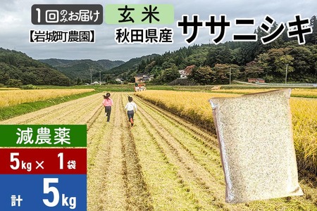 【玄米】〈減農薬〉秋田県由利本荘市産 ササニシキ 5kg(5kg×1袋) 令和5年産 新鮮パック 低農薬 低農薬