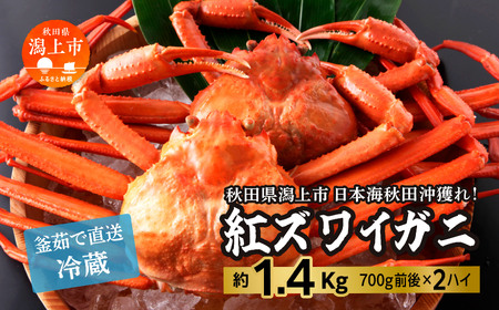 日本海沖産 紅ズワイガニ700g前後×2匹 約1.4kg/冷蔵【安田水産】