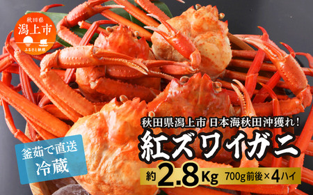 日本海沖産 紅ズワイガニ700g前後×4匹 約2.8kg/冷蔵【安田水産】