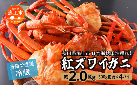 日本海沖産 紅ズワイガニ500g前後×4匹 約2.0kg/冷蔵【安田水産】