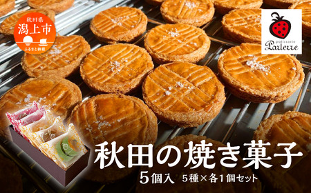 秋田の焼き菓子 5種セット【パティスリーパルテール】