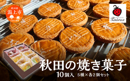 秋田の焼き菓子 5種 各2袋（計10袋）セット【パティスリーパルテール】