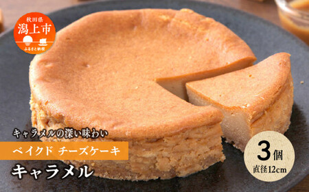 キャラメルベイクドチーズケーキ 3個セット【飯田川つくし苑】