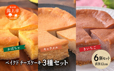 ベイクドチーズケーキ3種 6個セット【飯田川つくし苑】