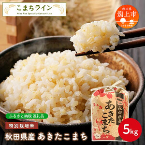 令和5年産 秋田県産 あきたこまち特別栽培米【玄米】 5kg【こまちライン】
