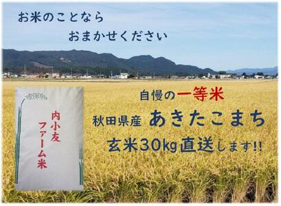 令和5年産 秋田県産あきたこまち 一等米 農家直送 玄米30kg