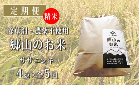 秋田県産ササニシキ（精米）郷山のお米4kg（2kg×2袋）×5ヶ月定期便（5回 5ヵ月）