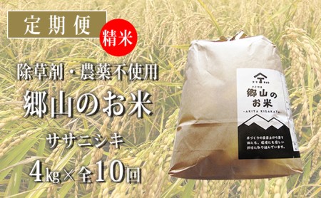 秋田県産ササニシキ（精米）郷山のお米4kg（2kg×2袋）×10ヶ月定期便（10回 10ヵ月）