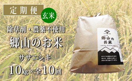 秋田県産ササニシキ（玄米）郷山のお米10kg（5kg×2袋）×10ヶ月定期便（10回 10ヵ月）