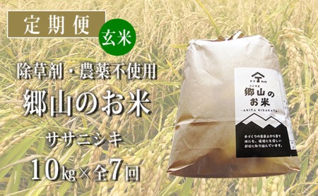 秋田県産ササニシキ（玄米）郷山のお米10kg（5kg×2袋）×7ヶ月定期便（7回 7ヵ月）