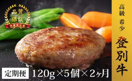 肉のあさひ 登別牛100％使用ハンバーグ 120g×5個[全2回お届け]