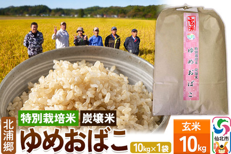 【特別栽培米 炭壌米 ゆめおばこ】令和5年産 玄米 10kg