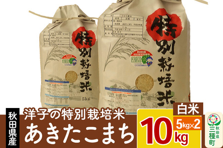 洋子の あきたこまち 特別栽培米 10kg(5kg×2袋) 秋田県産 【白米】 令和5年産