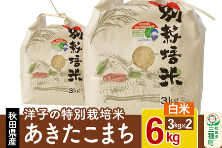 洋子の あきたこまち 特別栽培米 6kg(3kg×2袋) 秋田県産 一等米 【白米】 令和5年産