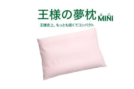 AA011　王様の夢枕 ミニ （ピンク）一回り小さい超極小ビーズ枕