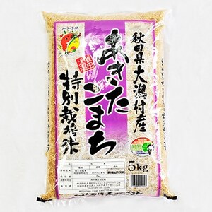 【毎月定期便】【玄米】あきたこまち特別栽培米5kg全11回【4009277】