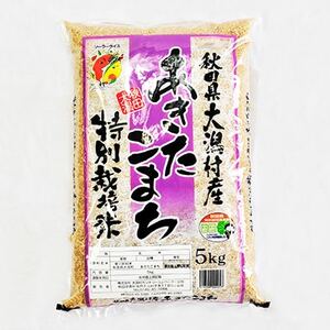 【2ヵ月毎定期便】【玄米】あきたこまち特別栽培米5kg全4回【4009375】